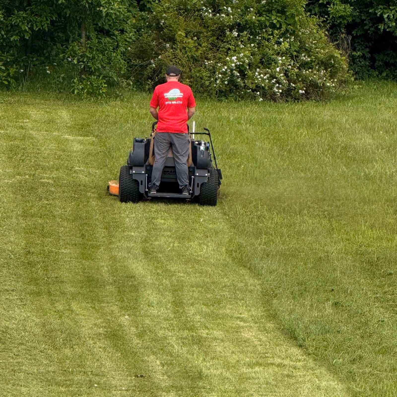 Professional lawn care and landscaping near me