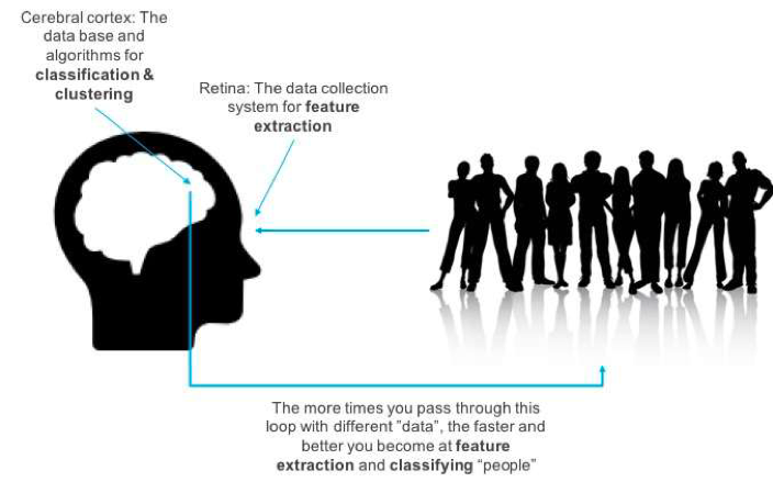 Visualization of the analogy between a human brain and pattern recognition