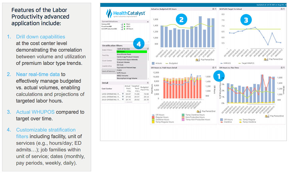 Sample of Texas Children's Hospital Labor Productivity dashboard