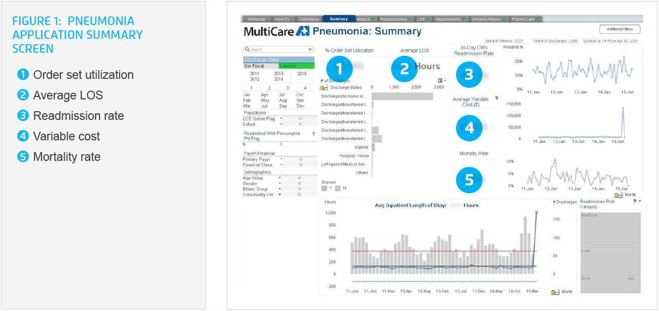 Sample visual of Pneumonia Application: Summary Screen