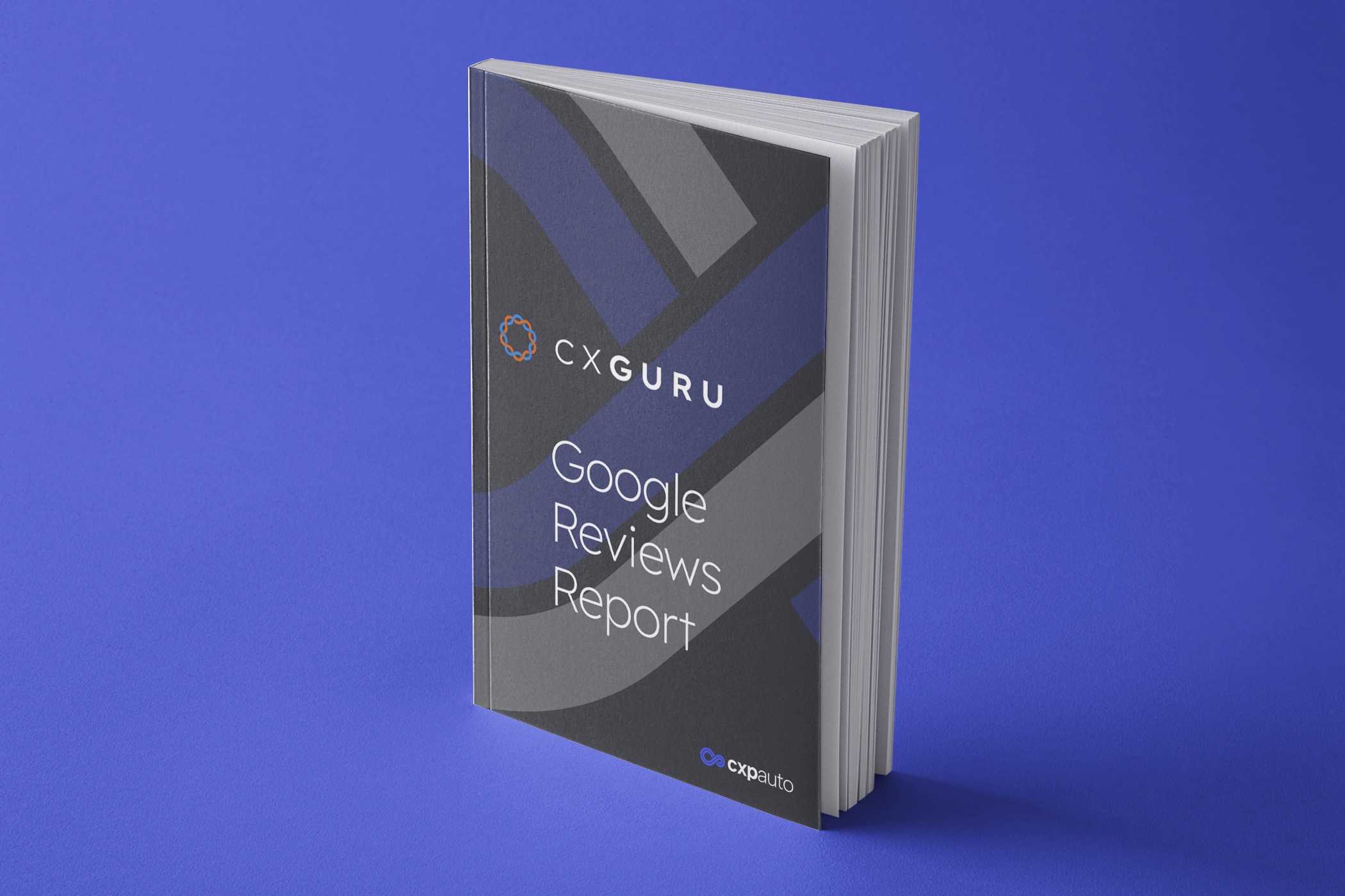 CX Guru Report Sample Image
