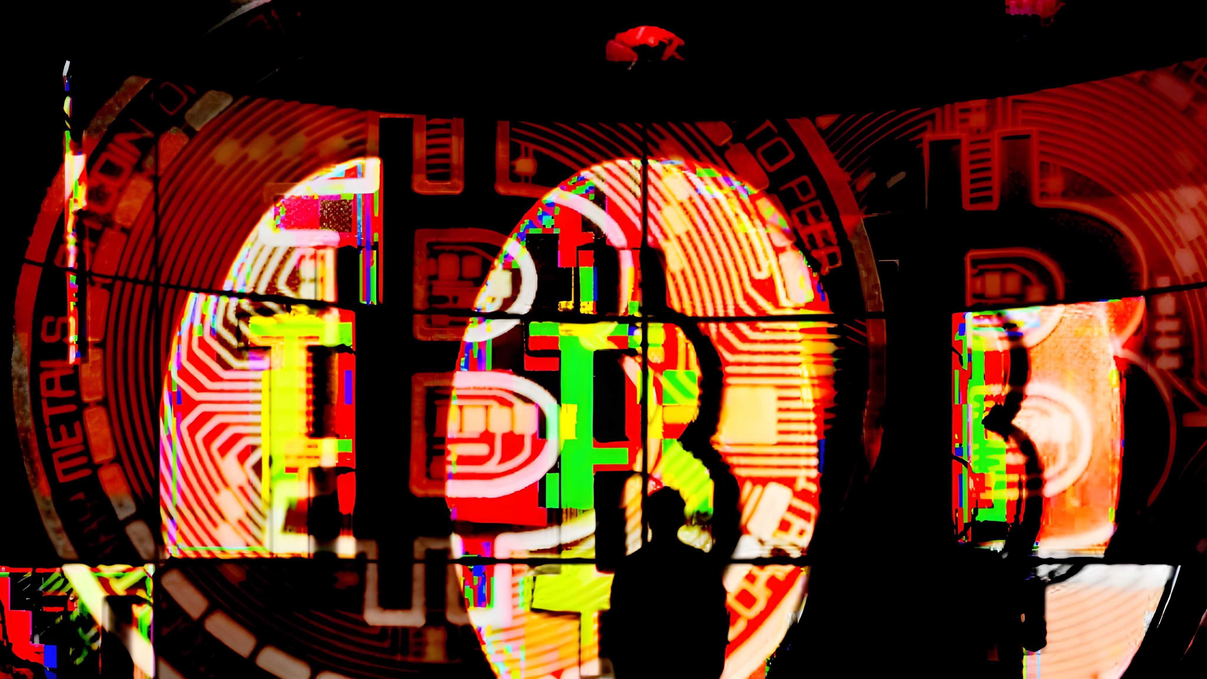 Bitcoin's Ownership: A Tale of Individuals Versus Institutions