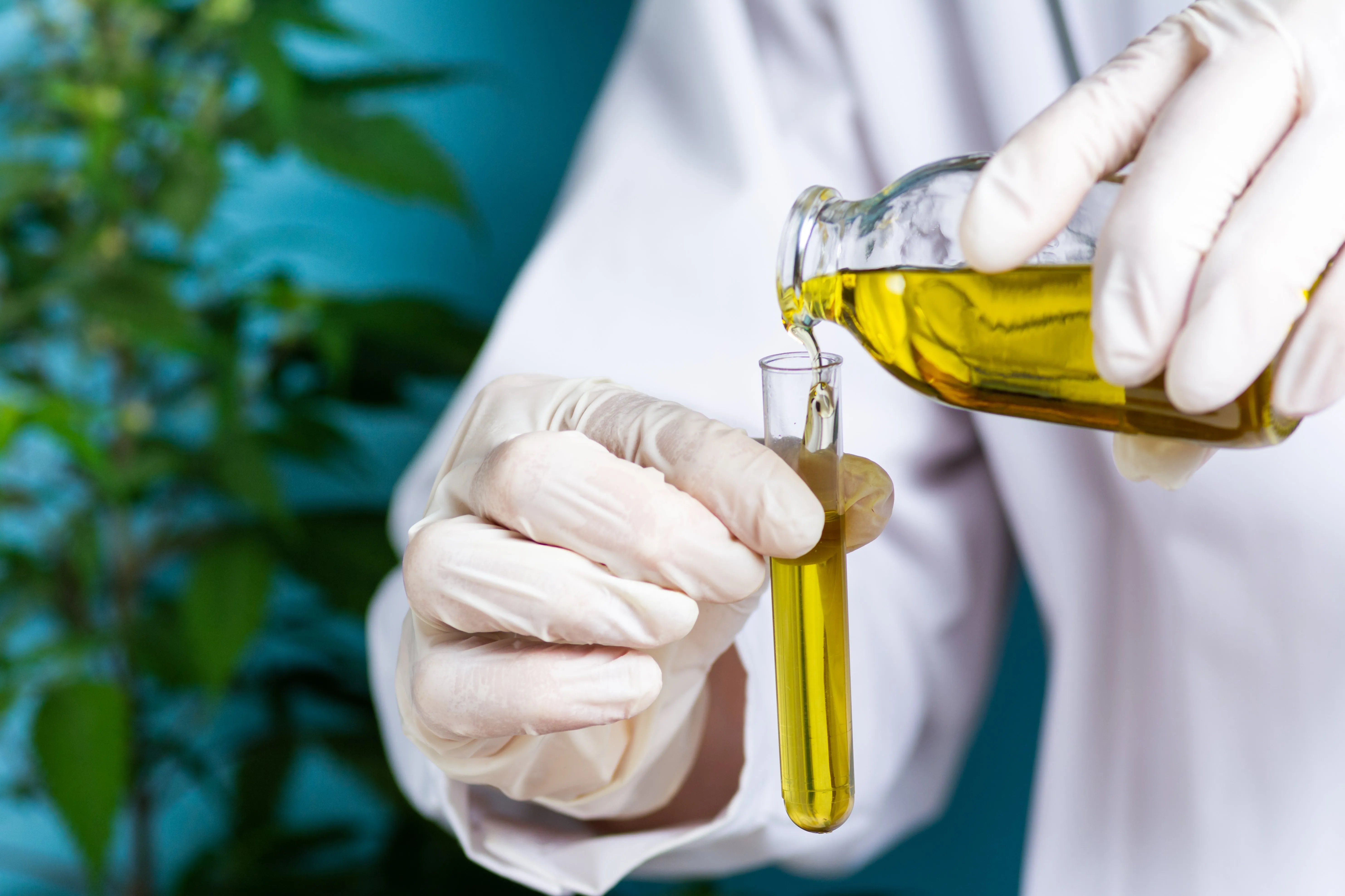 Cannabis Processing: Sonication vs. High Pressure Homogenization