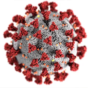 Does Vitamin D Boost Immunity Against COVID-19?