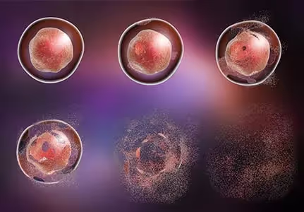 Alkaline Lysis vs. High Pressure Homogenization: Which is Better?