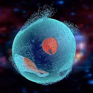 What Does a Homogenizer Do to Cells in Order to Lyse Them?