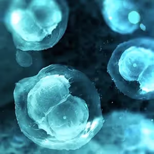 Cell Homogenization: Types of Cells & The Best Way to Lyse Them