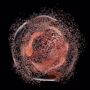 How Custom Homogenizer Options Can Optimize Cell Lysis