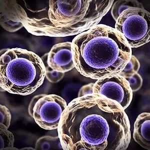 How to Scale Your Cell Lysis Technique