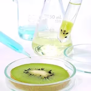 4 Roadblocks to Successful Nutraceutical Production & Sales