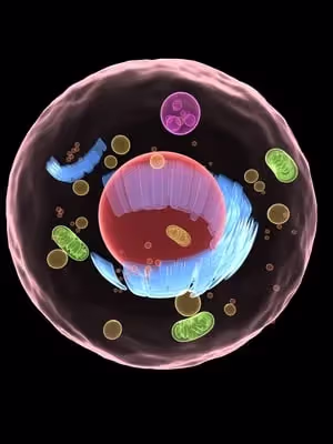 Cell lysis equipment: thinking ahead