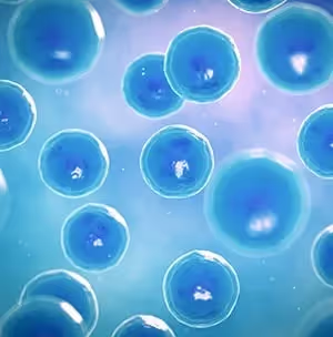 Should the Cell Type Affect Your Lysis Method?