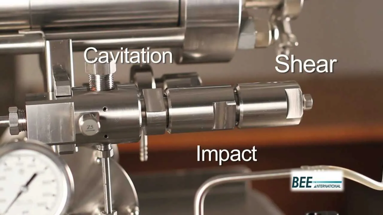 Nanoparticle Formulation: Advanced Approach using Pion’s BEE Brand High Pressure Homogenizers