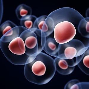 3 Factors That Will Affect Your Cell Lysate Quality