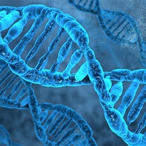 Which Cell Lysis Method Is More Efficient?
