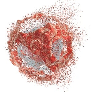 Cell Disruption 101: Why Use Homogenizers for Cell Lysis