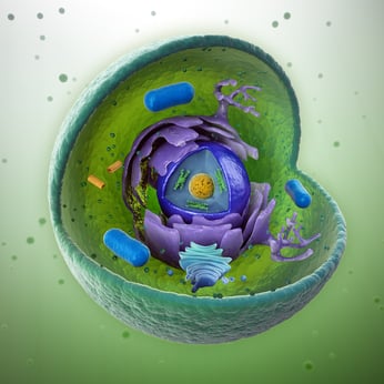 Cell Rupture | Cell Disruption | Cell Lysis Methods