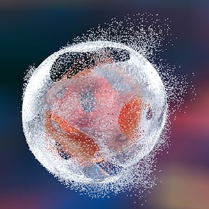 cell-rupture-enzymes-or-high-pressure-homogenization.jpg