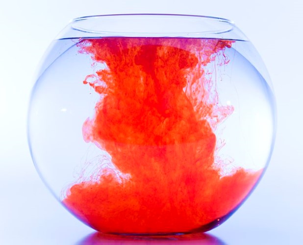How Are Poorly Soluble Compounds Formulated into Drugs?