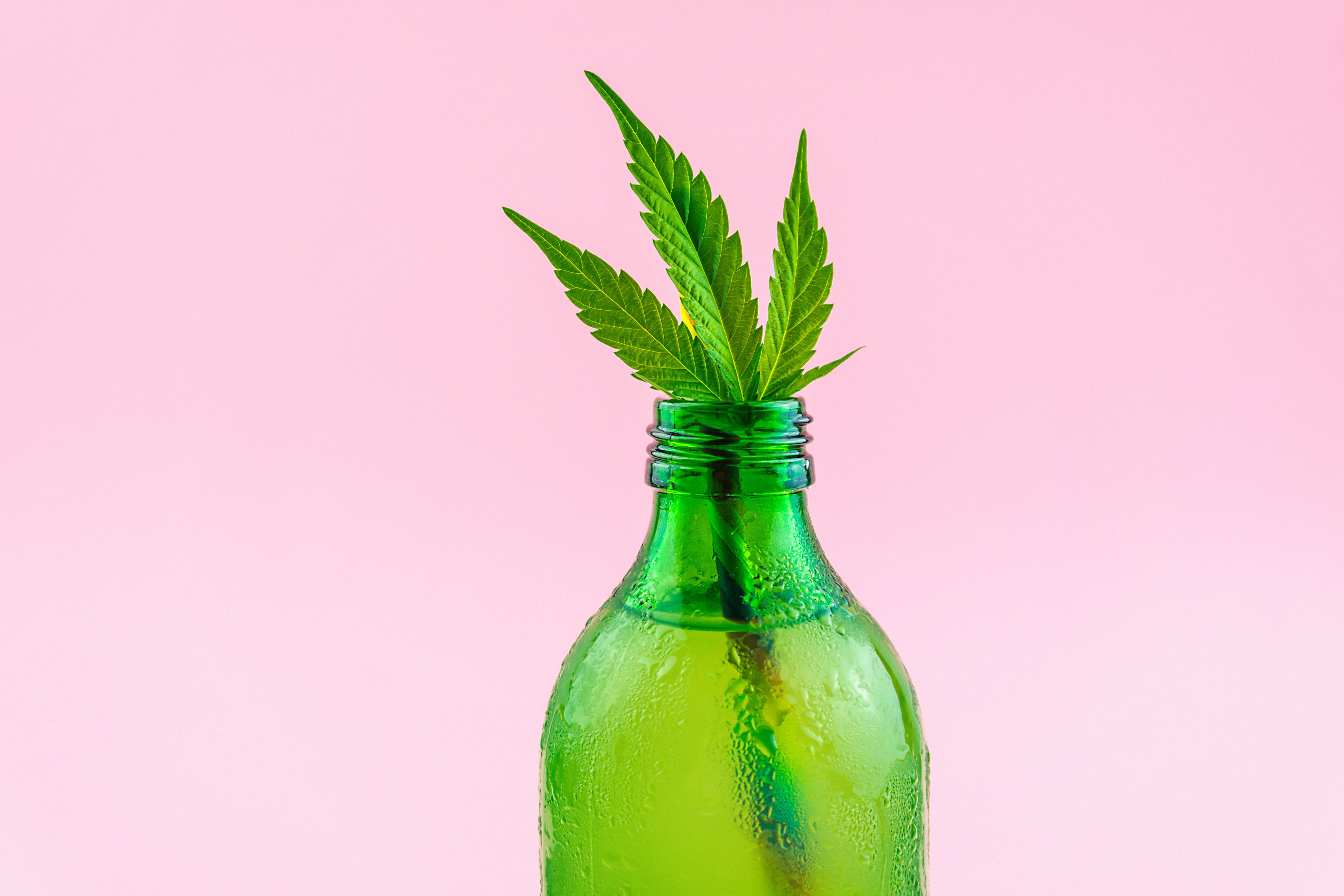 How to Guarantee Water Soluble Cannabinoids for Beverages