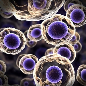 How to Scale Your Cell Lysis Technique