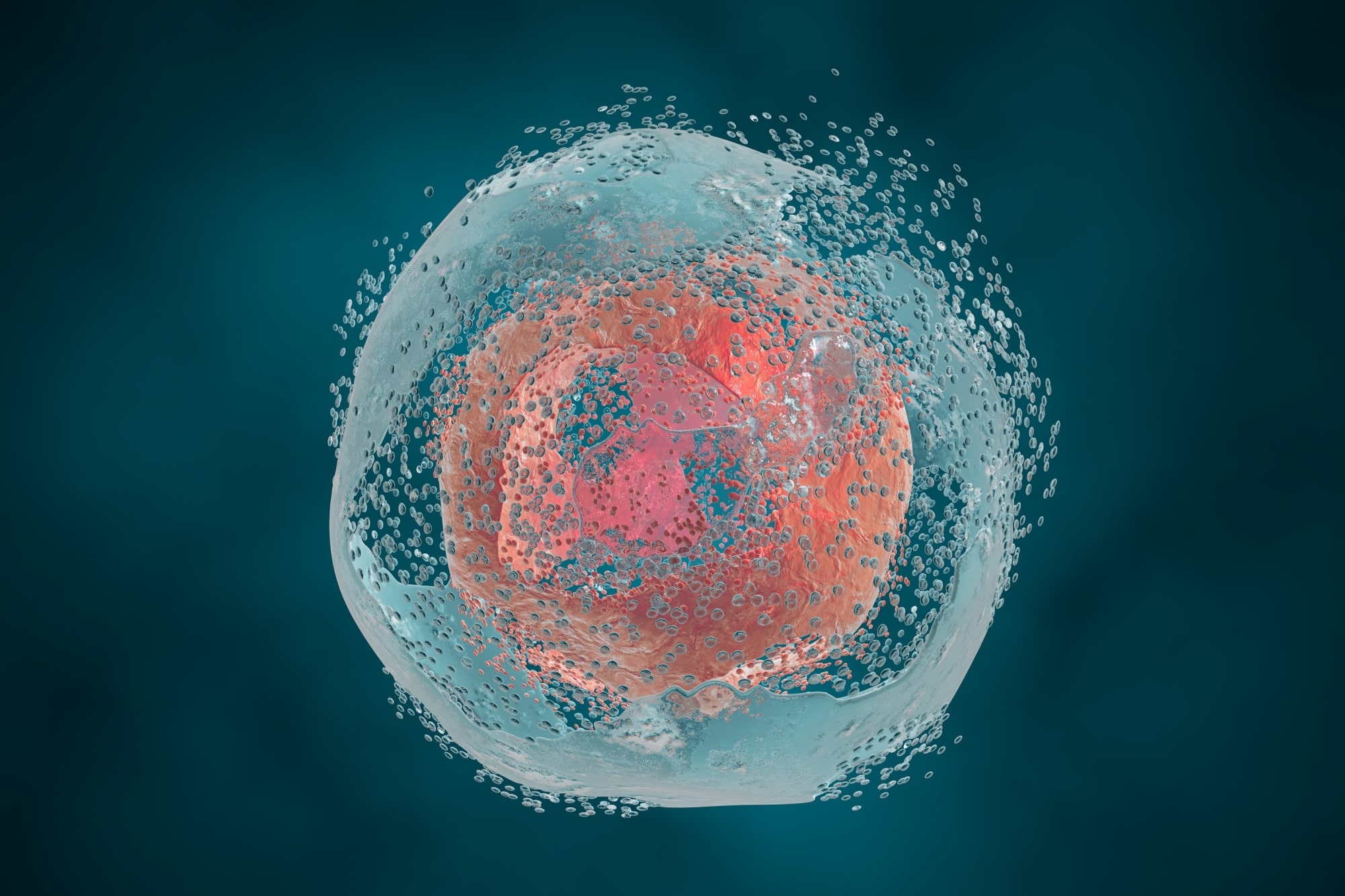 The Advantages of BEE brand homogenizers for cell lysis