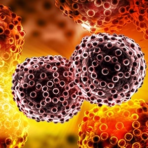The Benefits of a Laboratory Homogenizer For Cell Lysis