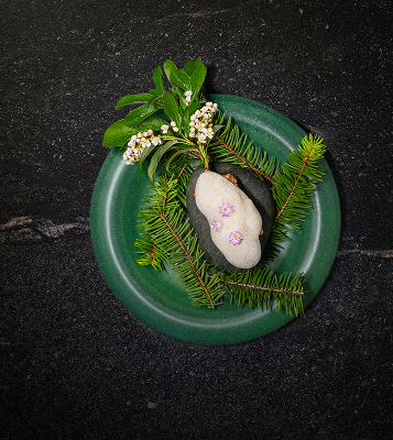 bosq dish