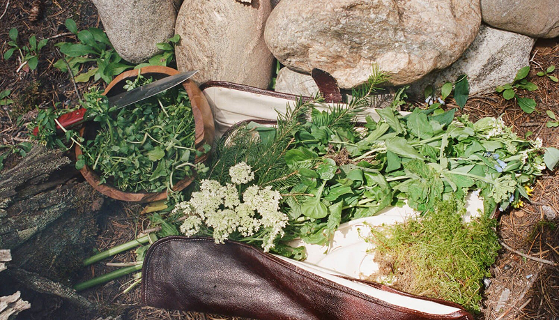 bosq gardening