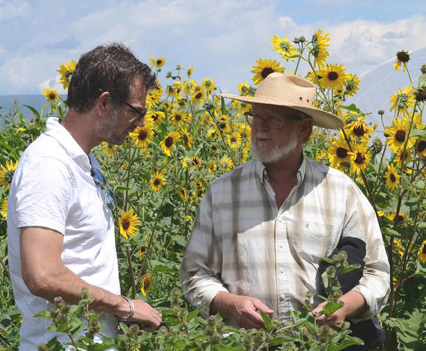 bosq farmers 
