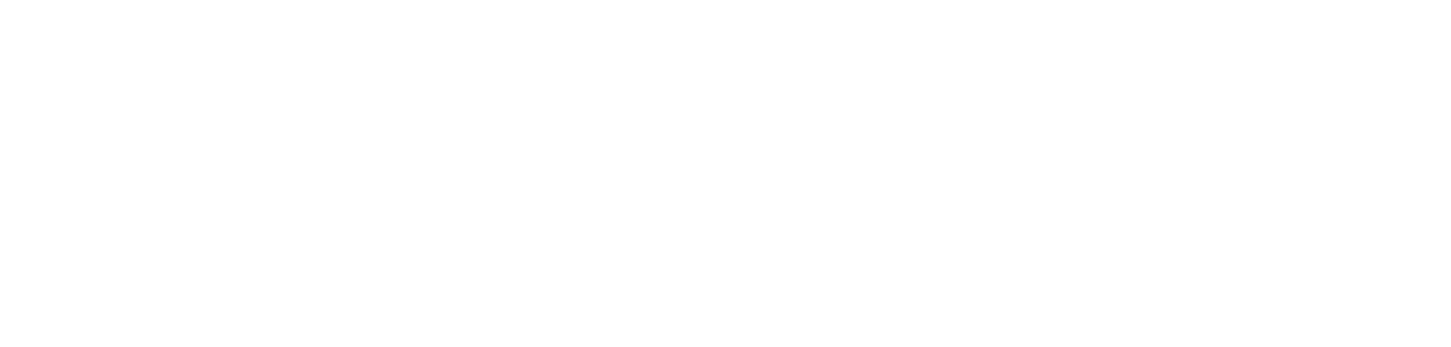 Carve Partners