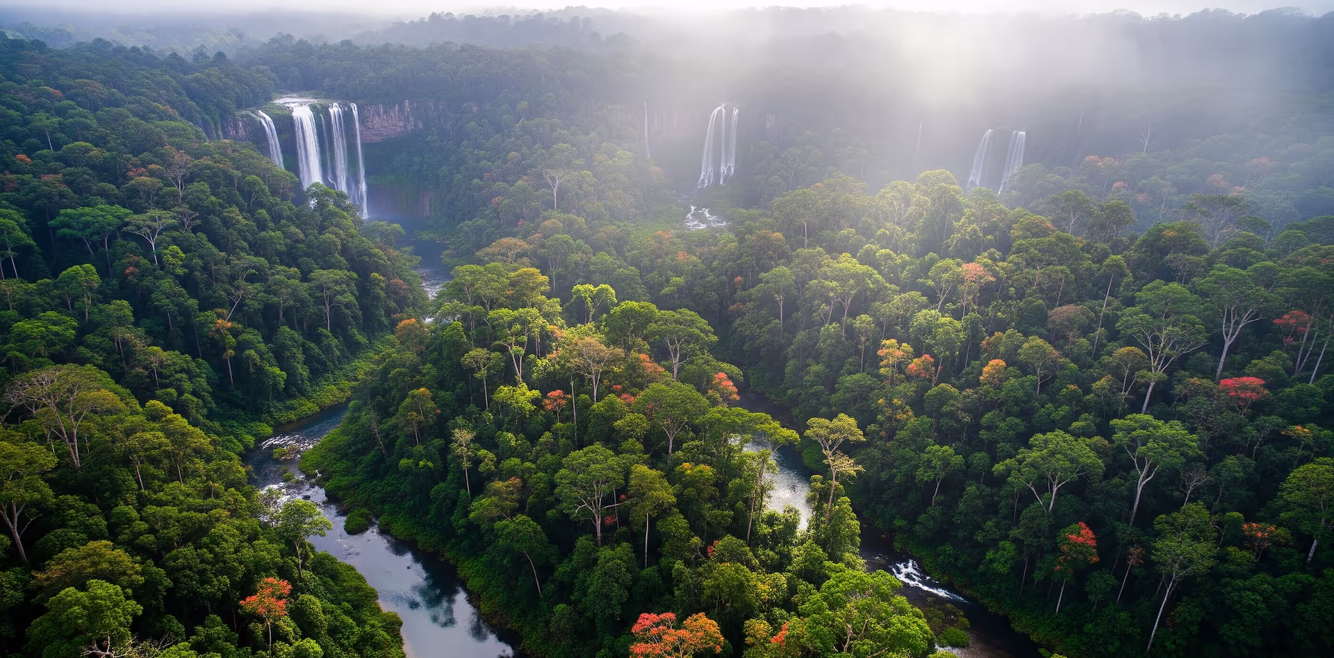 an image of a forest with falls