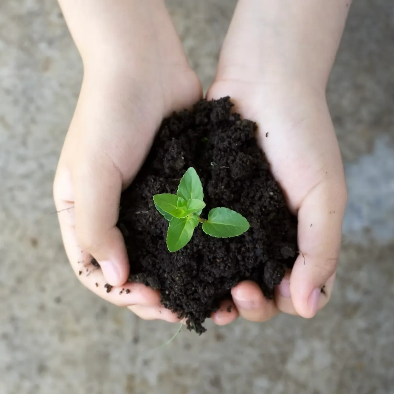 Cover image for "ESG Funds & Climate Impact: Strategy Report"