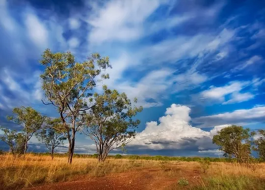 Cover image for "The Next Economy: Australian Climate Nonprofit Evaluation"