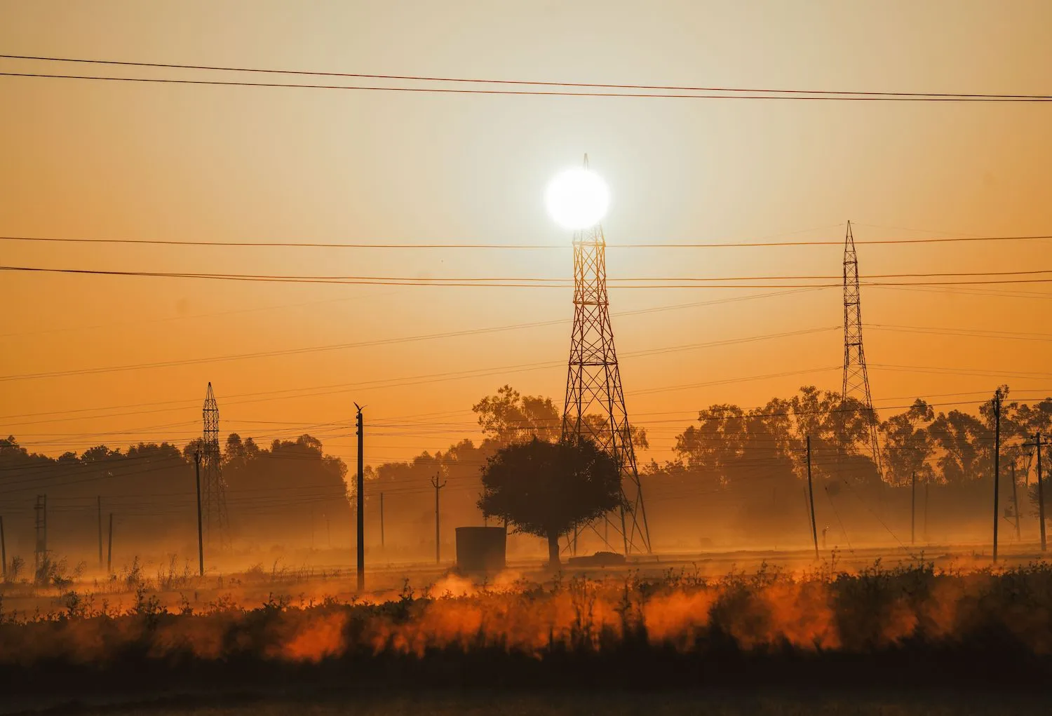 Power lines along a road in India