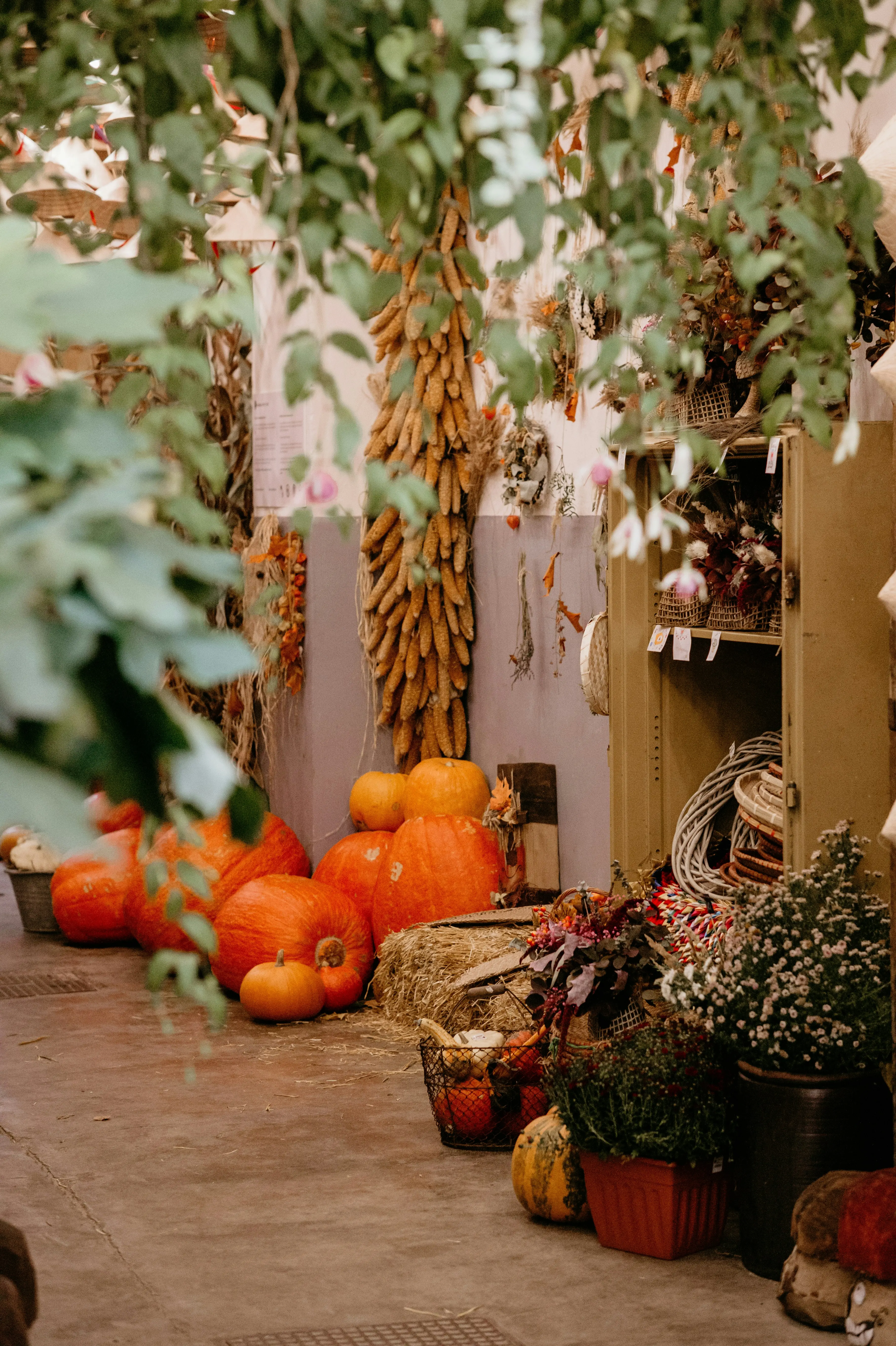 Autumnal home décor inspiration with pumpkins, dried corn, and seasonal flowers — Roberts Renovations showing tasteful fall décor 2025 trends