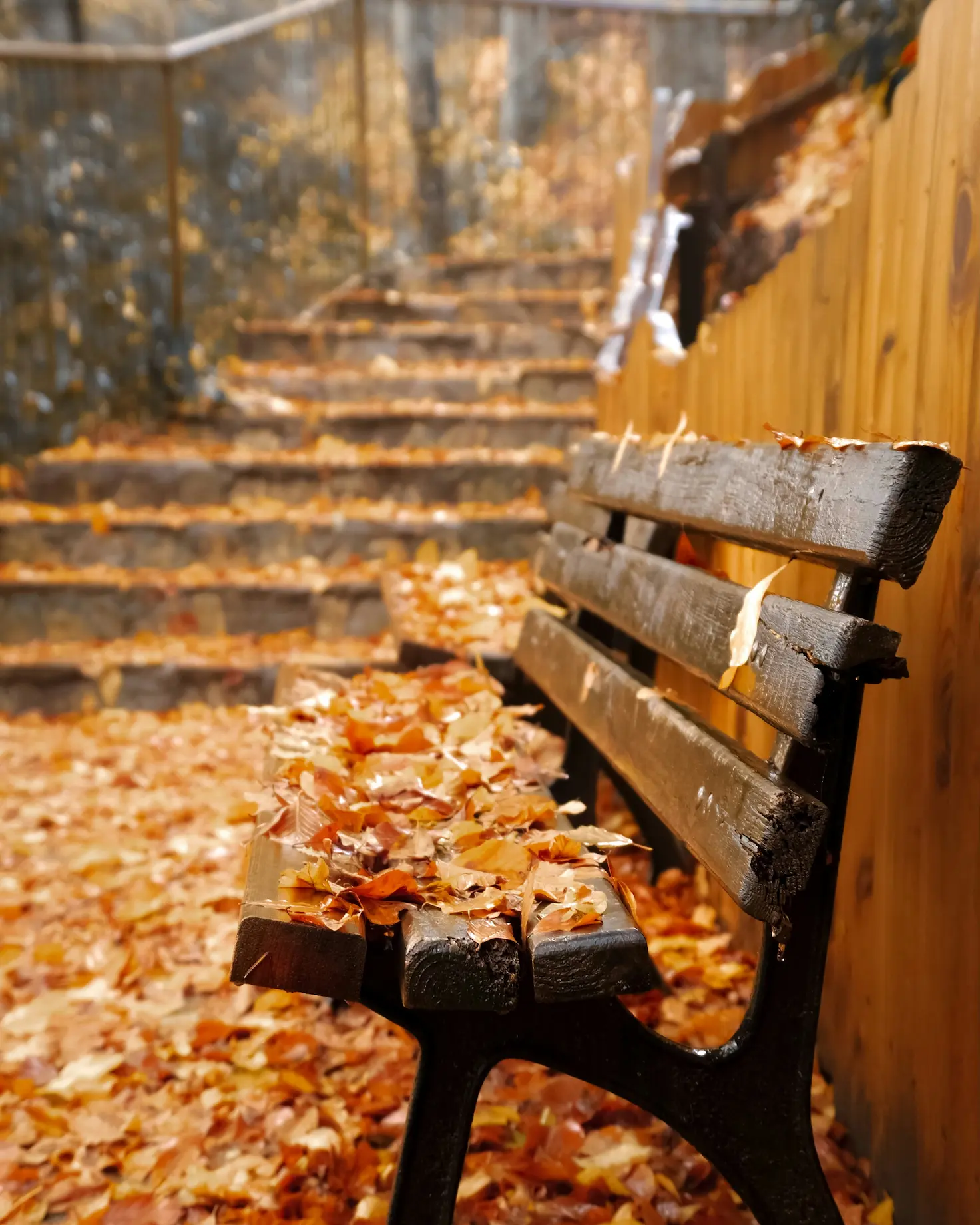 Wooden bench covered in autumn leaves with stone steps in the background — seasonal inspiration for cosy autumn home and garden design 2025 from Roberts Renovations