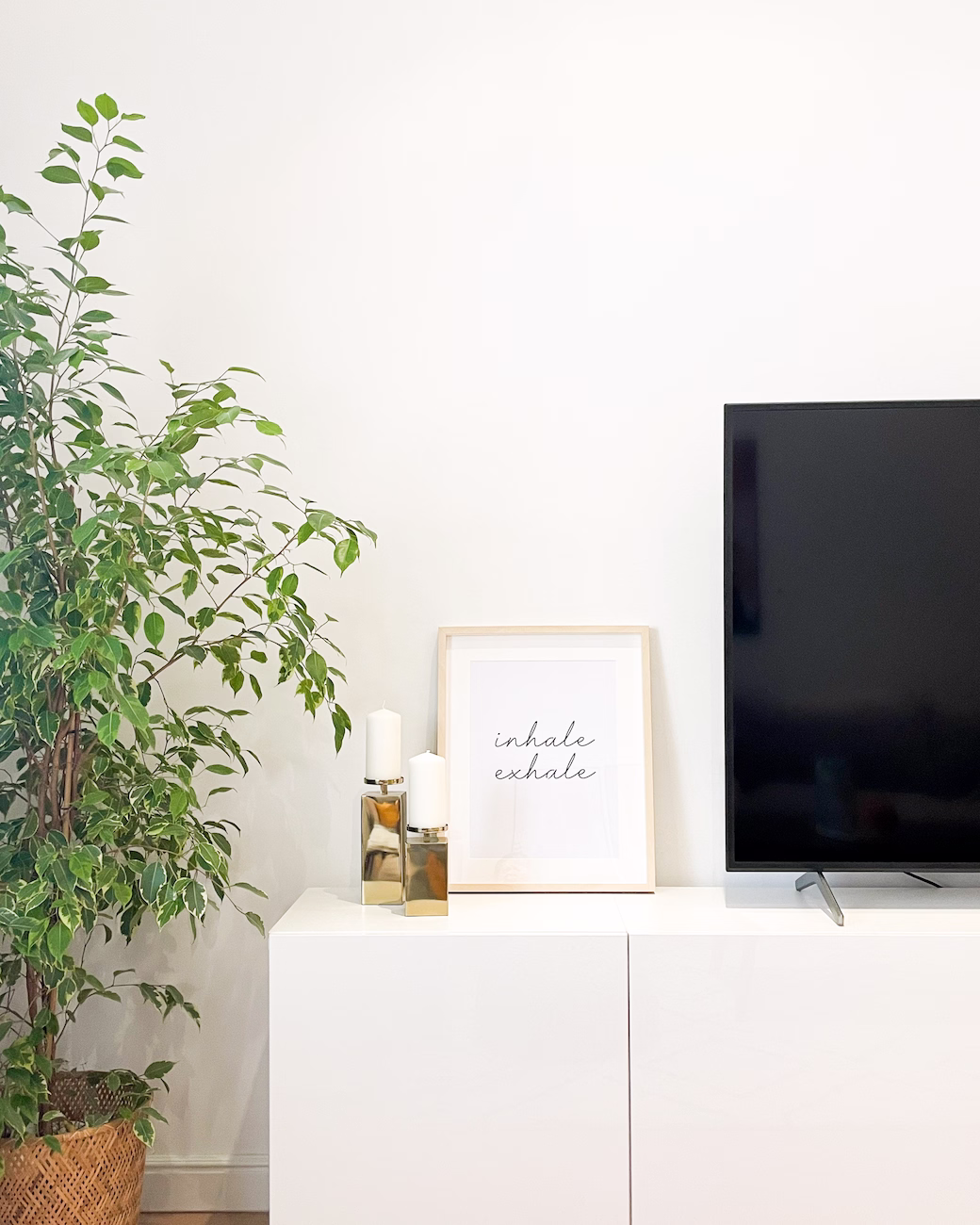 Modern living room with TV console, indoor plants, and contemporary accessories designed by Roberts Renovations.