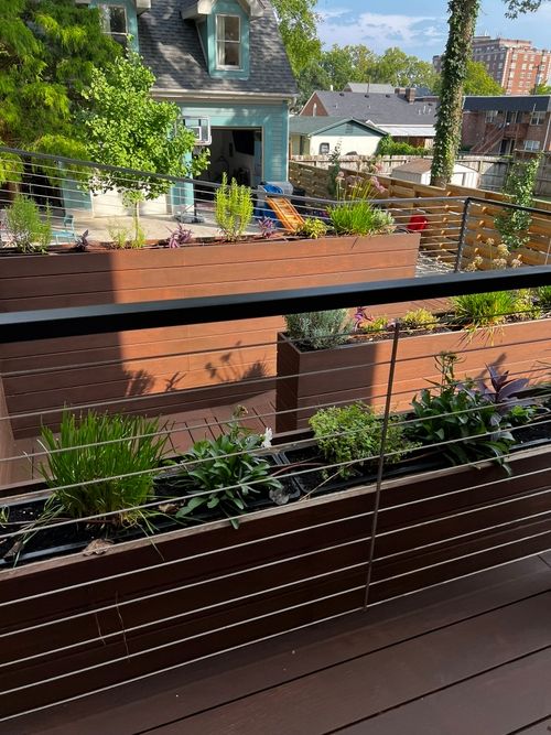 Accessible ramp and planters