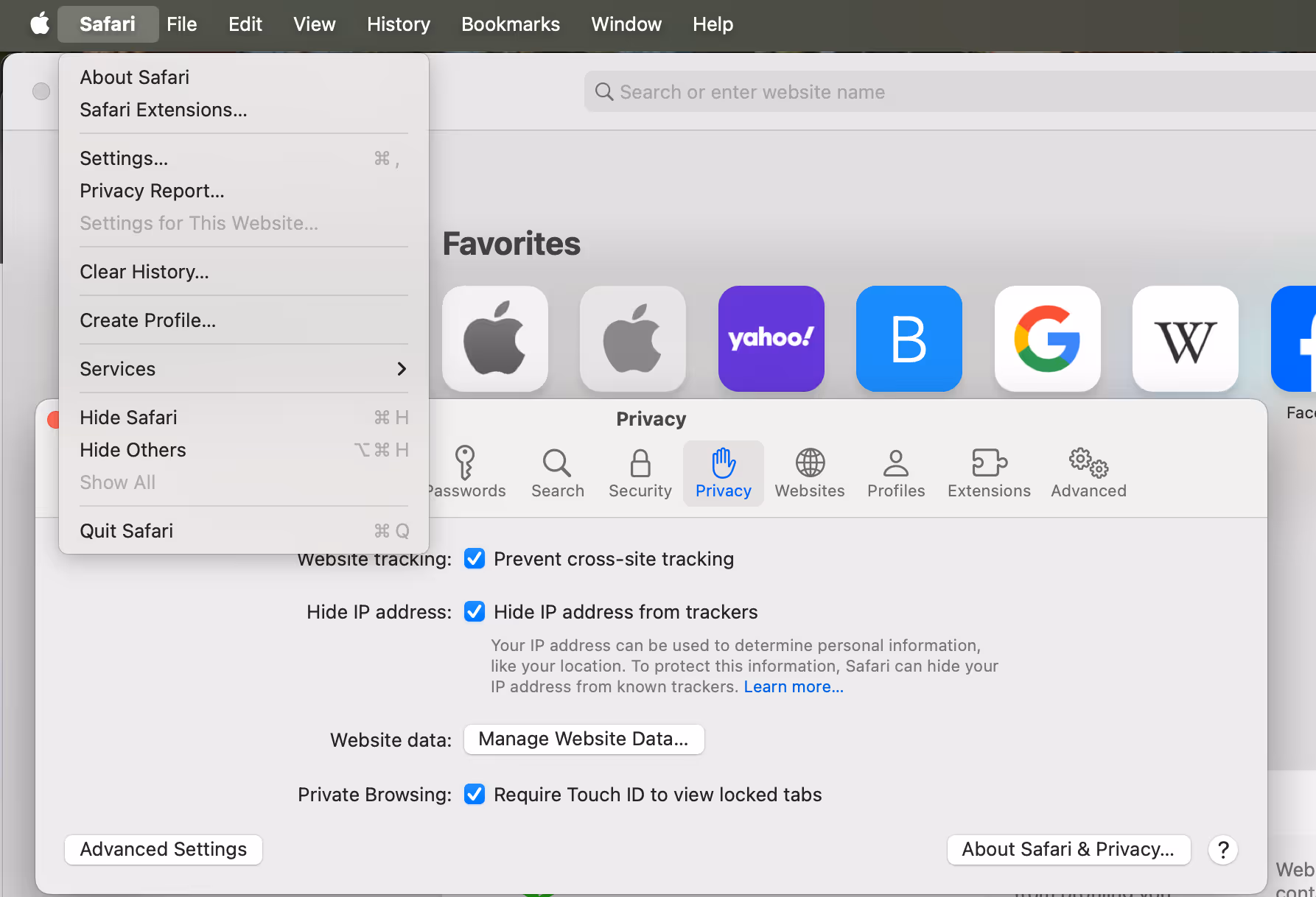What are internet cookies? View and change privacy settings on Safari.