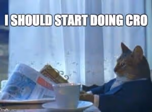 cat thinking he should start doing CRO