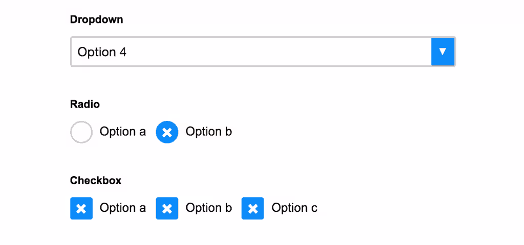 Dropdown, radio and checkboxes in the forms