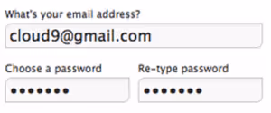 form asking for the password twice
