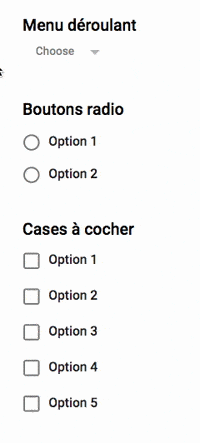 boutons de sélection formulaire