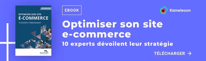 Ebook ecommerce - 10 témoignages experts