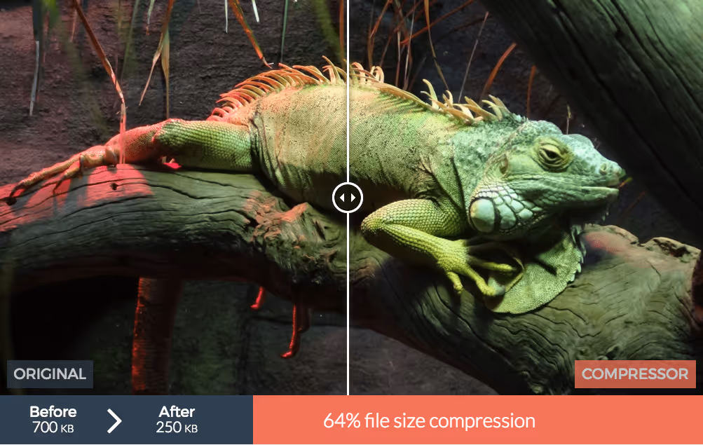 Compressor - Améliorez l’expérience utilisateur pour booster votre SEO