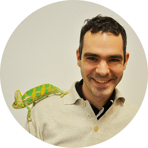 Flicker-Effekt - Jean-Noël Rivasseau