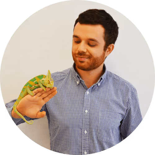 Simon - segmentierung