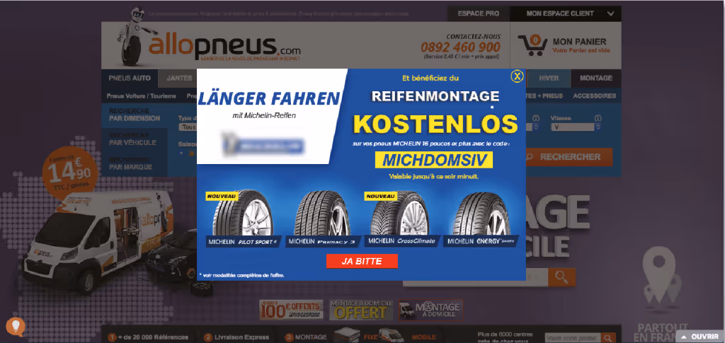 segmentierung allopneus