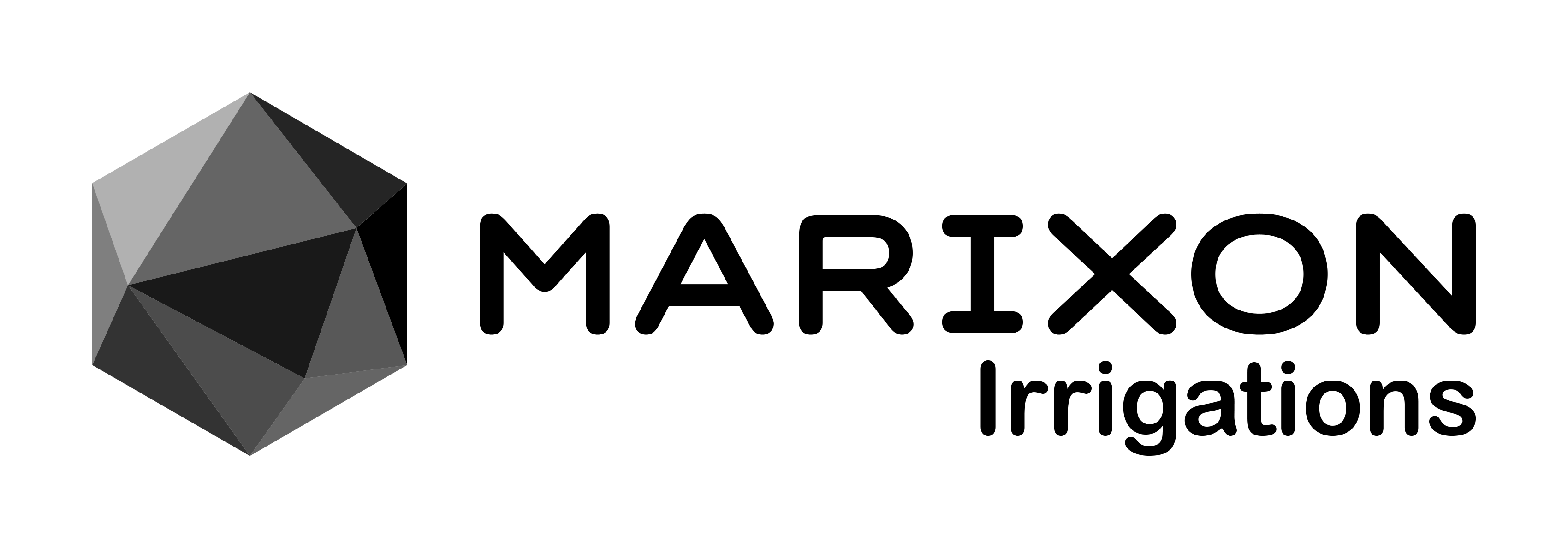 [team]
